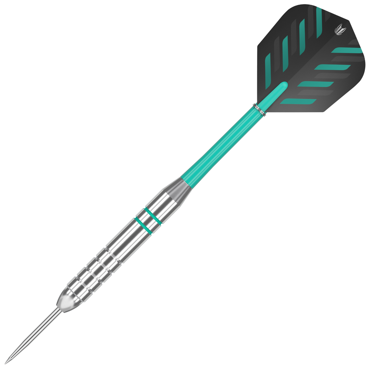 Target Darts Rob Cross Silver Voltage 24 grams